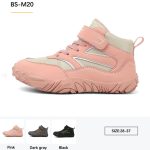 BS-M20