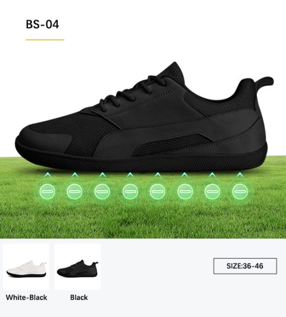 bs-04 2