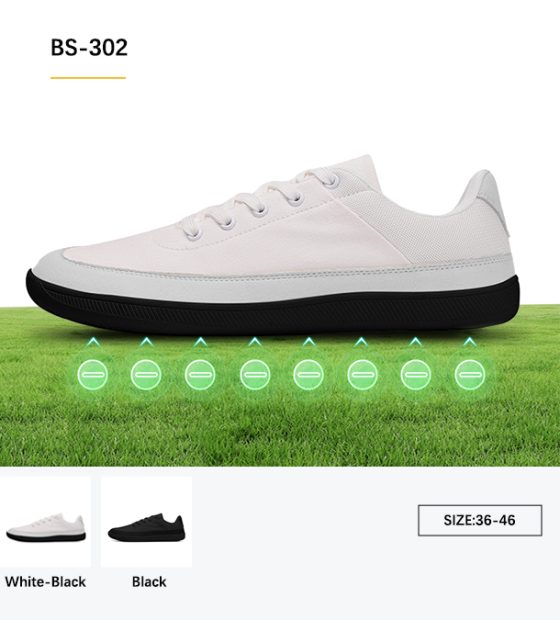 bs-302